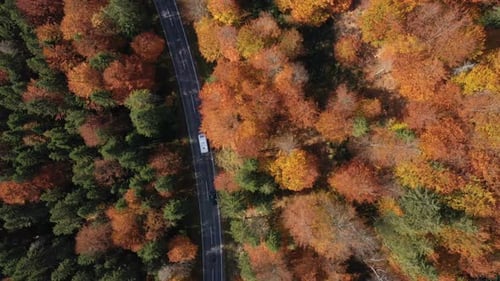 Flying Over The Empty Autumn Road 13