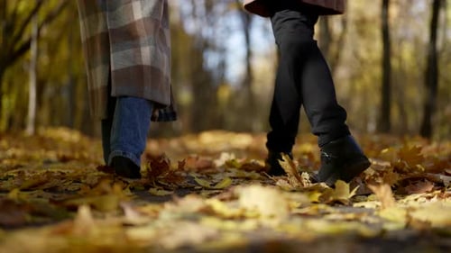 Liebevoller Mann und Frau schlendern im Frühherbst zusammen im Wald, Nahaufnahme der Füße