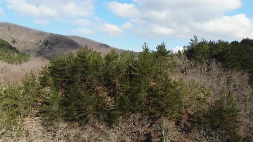 Clouds in the mountains. Aerial view of the mountain. Aerial view of the forest.