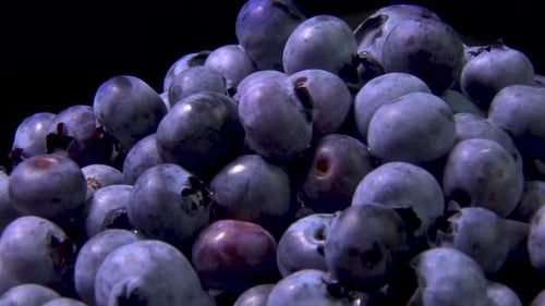 Close Up Rotate Blueberries.