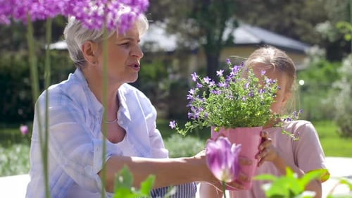 Grandmother and Girl Planting Flowers at Garden