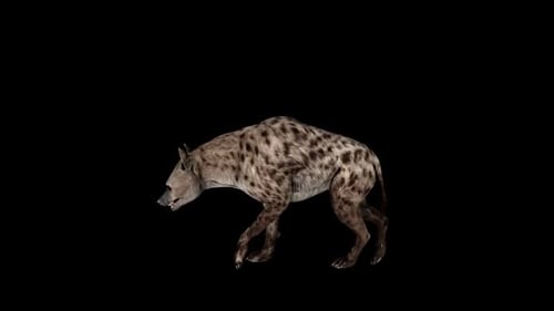 Hyena Walk