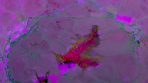 Swirling Abstract of Pink and Purple Inks