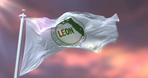 Leon County Florida Flag Waving Loop
