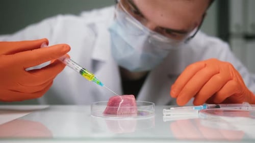 Scientist Injecting Raw Meat Sample in Laboratory