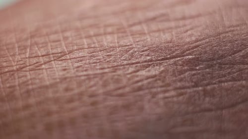Close-Up View of Human Skin Texture