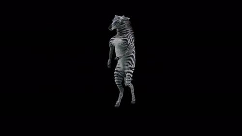 Dancing Zebra 3D Animated Character Loop