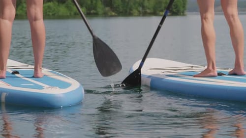 Adults Paddle Boarding on Peaceful Lake