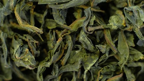 Closeup Dried Green Tea Leaves Rotating 360 Top View