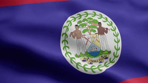 Belize National Flag Waving Realistic Fabric Loop