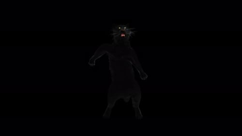 Dancing Black Panther 3D Animation
