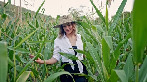 Portrait of Pretty Young Woman in Stylish Linen Dress and Straw Hat Walking Between Green Corn