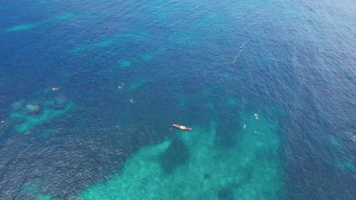 Group of Snorkelers Swimming in Shallow Sea Water Over Coral Reef. Aerial View