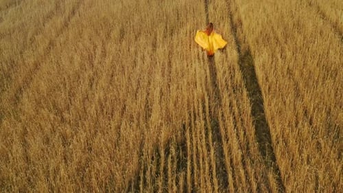 Beautiful Woman in Dress at Sunset in a Wheat Field.