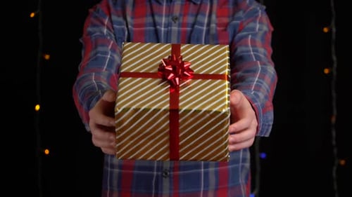 Close-up of Christmas Gift Presented by Person