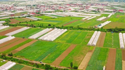Planting Vegetables Farm in Rural Area