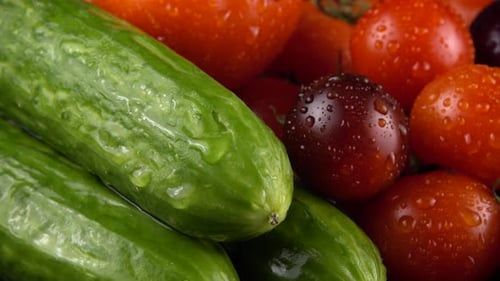 Fresh Cucumbers, Tomatoes, and Red Onion