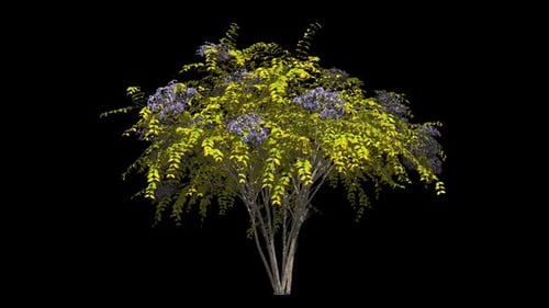 Animated Alpha Channel Bush with Purple Flowers and Green Leaves