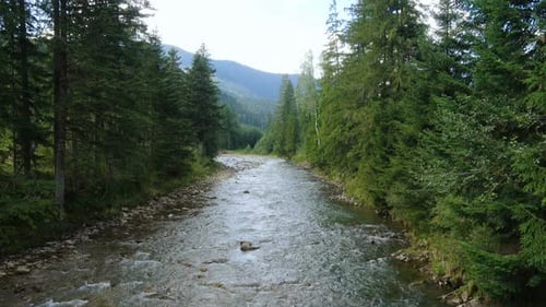Beautiful Mountain River