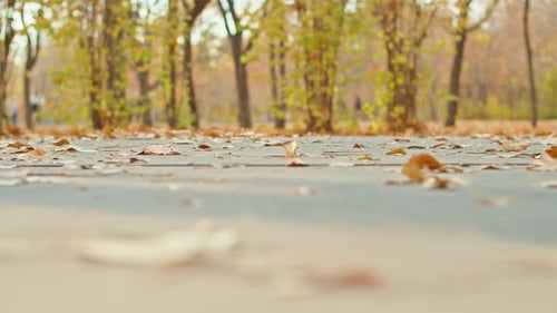 Woman's Legs Walking in Autumn Park