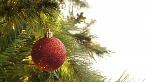 Close-up of shiny bauble on the Christmas tree 4K 2160p 30fps UltraHD footage - Red round ornament