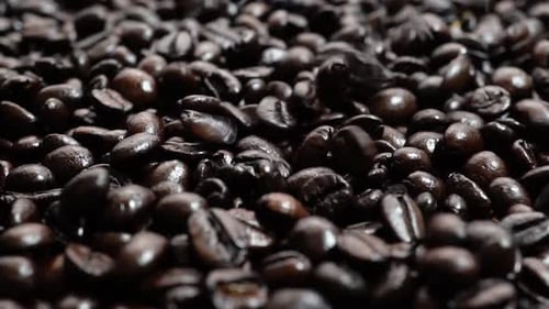 Roasted Coffee Beans Dropping in Close Up Shot