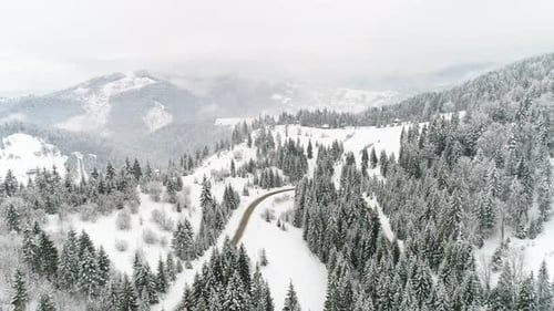 Car Driving Along the Forest Road in Winter