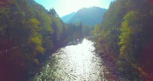 Low Altitude Flight Over Fresh Fast Mountain River with Rocks at Sunny Summer Morning.