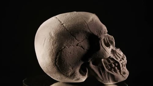 Rotierender menschlicher Schädel