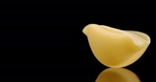 Rotating Shell Noodle on Black Surface