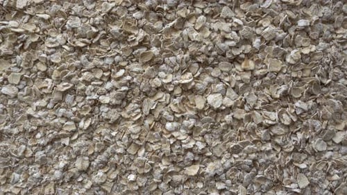 Oats Flakes Background