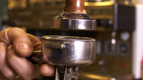 Barista Tampers Coffee Grounds Preparing Espresso