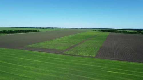 Aerial view of countryside and agricultural fields. Flight a drone above a farm. Blue sky on horizon