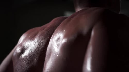 A man in the gym does an exercise by straining his back muscles. Beautiful male body