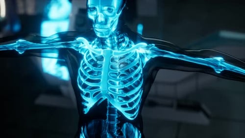 Human Skeleton Bones Scan Exam in Lab