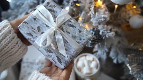 Person Holds a Wrapped Christmas Gift Indoors