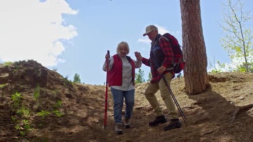 Active Senior Couple Hiking Down Forest Trail Together