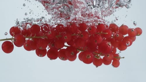 Fresh Red Currants Dropping Into Clear Water