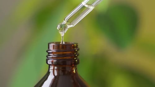 Aroma Essential Oil From Peppermint in the Bottle with Fresh Green Mint Leaf