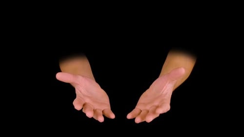 Isolated Hands Gesturing with Open Palms on Black