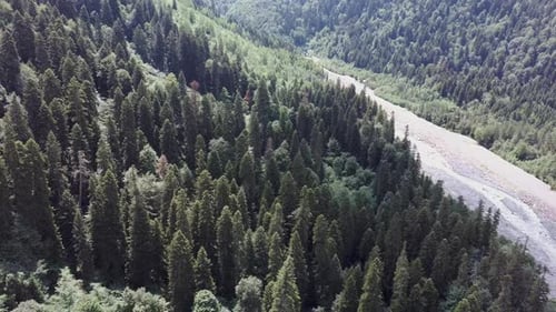 Aerial View of Mountain Forests Between River on Sunny Weather