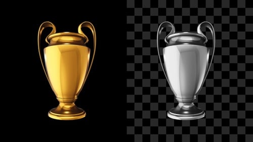3D Animated Golden and Silver Champion Trophy Rotation Loop