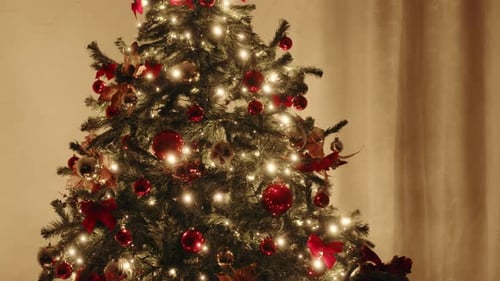 Christmas tree lights