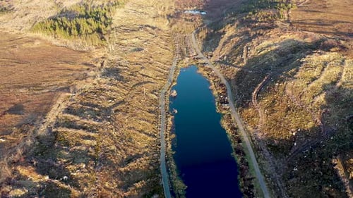 O reflorestamento continua em Bonny Glen, no condado de Donegal, Irlanda