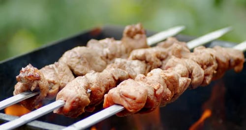 Close Up of Skewers of Meat Cooking on Grill