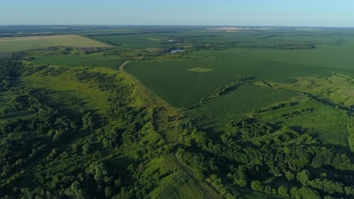 Aerial View Beautiful Landscape in Summer Drone Flying Over Field in Sunny Day