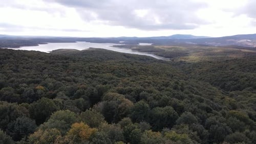 Forest Lake