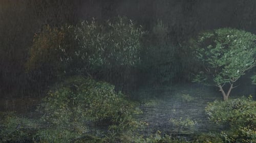 Night rain - Heavy rain poured into the lake in the rainforest - Beautiful scenery in the rain