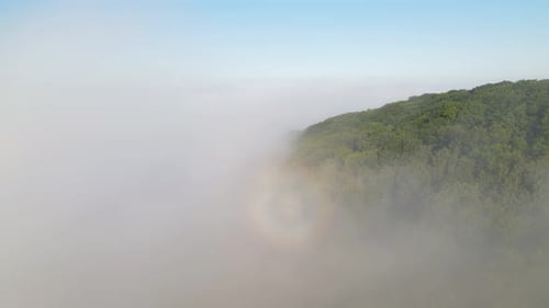 Morning Fabulous Fog That Covers the Mountains. Aerial Top View of Green Trees Covered with Thick