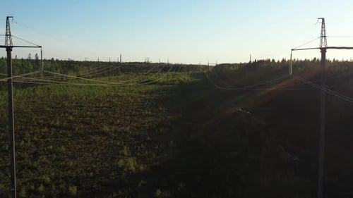 Smoking Cooling Towers at Nuclear Power Plant and Powerlines in Forest